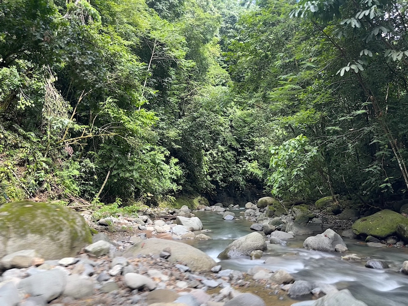 3.5 Acres with River Frontage in Tres Ríos selected