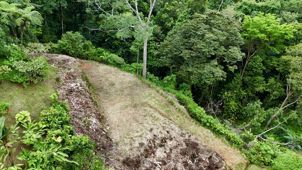 Affordable Jungle Lot in Gated Phase 9 Ojochal with Legal Water selected