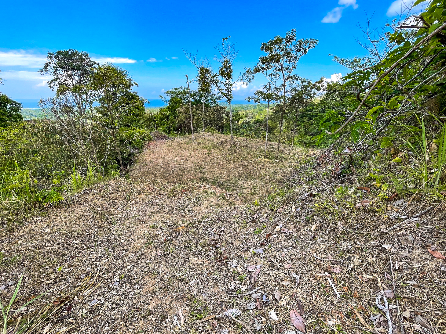 Excellent Dream Home Or Mini-Development Opportunity: 2.2-Acre Ocean View Property in Ojochal, Costa Rica selected