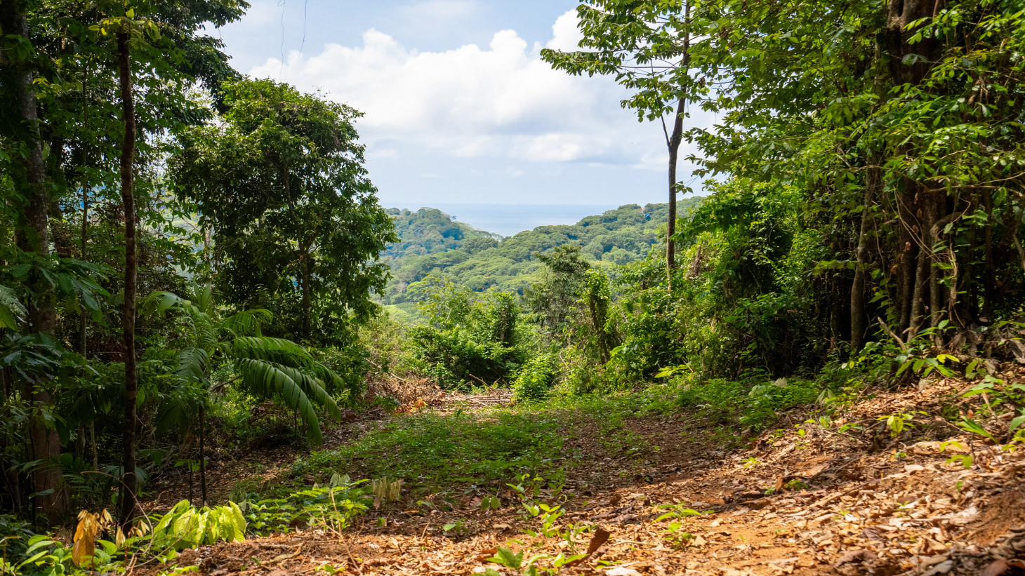 Rare 86-Acre Ocean View Estate Bordering Hacienda Barú – A Unique Opportunity for Conservation and Development selected