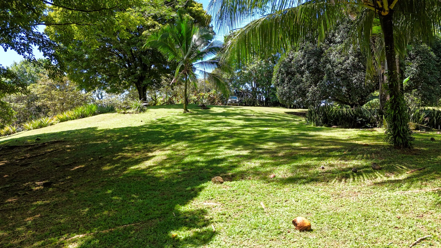 Prime Development Opportunity in Desirable Ojochal Location selected