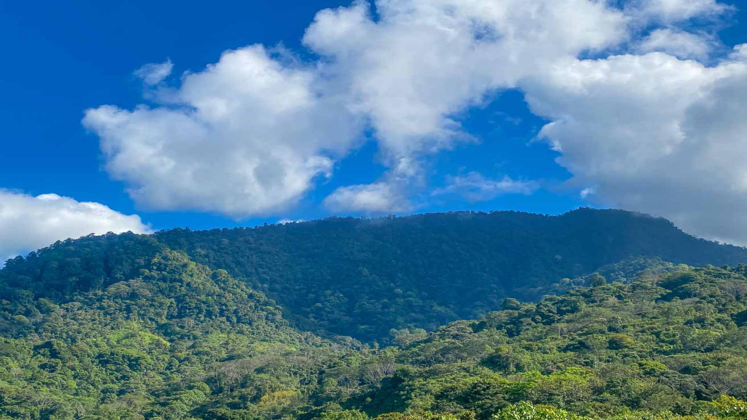 Ocean,Jungle & Mountain View Home in Ojochal | Protected Jungle Setting selected