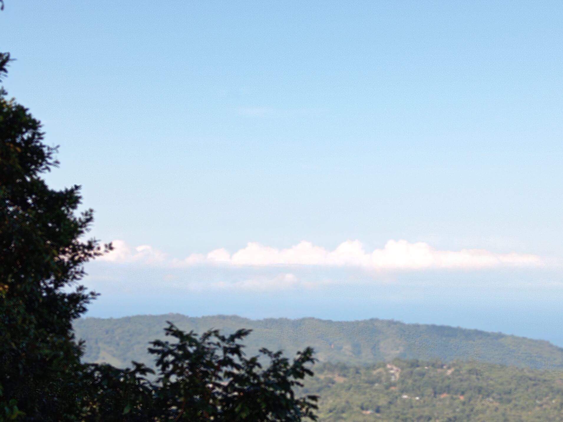 79Acre Farm In Tinamastes, Costa Rica