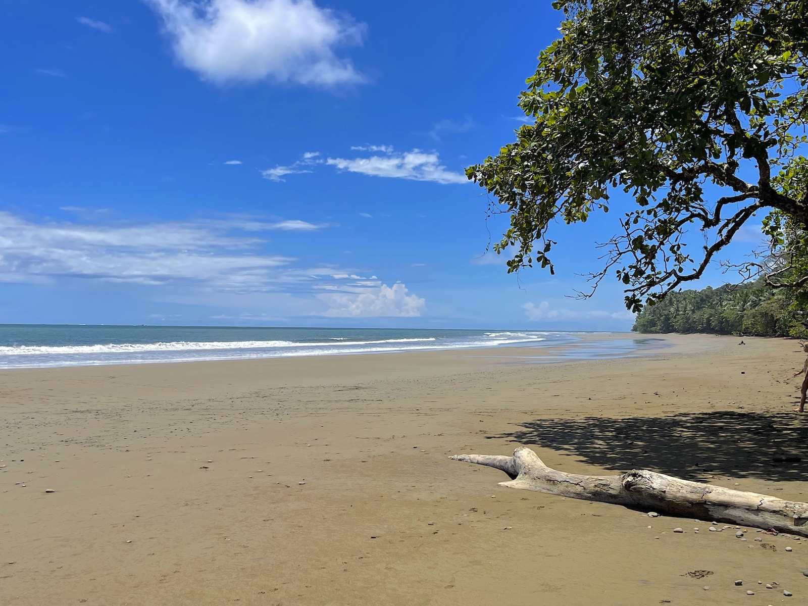 Elan Ground Floor 2-Bedroom Condo with Beach Access selected