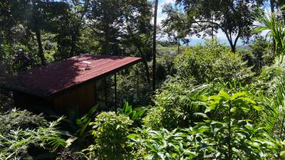 1.7 Acres Ocean View with Income-Generating Cabin – Uvita image 5