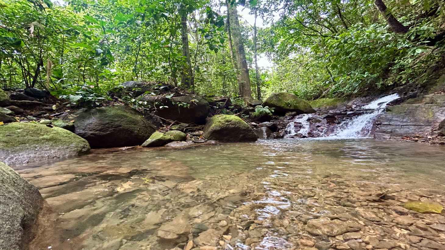 Selva Vista Estate – 5.9 Acres of Wild Beauty selected