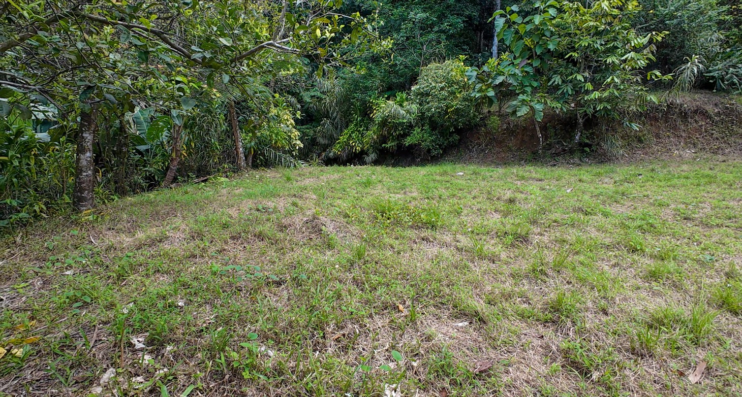 Stunning 16 acre Ocean View Property San Buenas, Costa Rica  selected