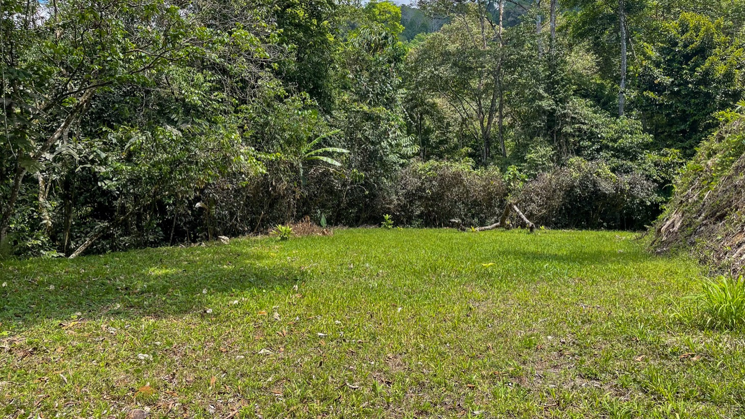 Land for Sale Near Ojochal, Costa Rica – Lot with Water & Electricity Near El Pavón Waterfall selected