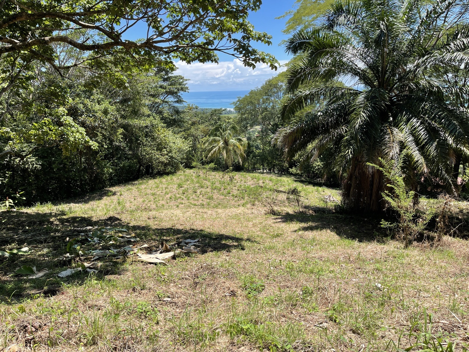 5.4 Acres With Ocean View & Multiple Building Sites selected