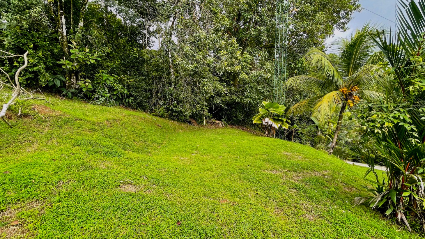 Two Homes on 1.55 Acres with Ocean & Mountain Views – Plus Room to Build! selected