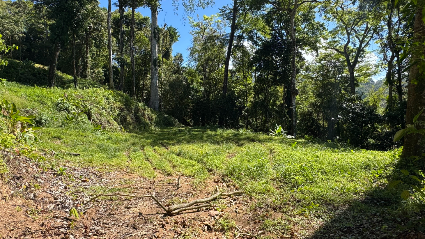 Two Ocean View Lots in Uvita – Easy Access and Large Building Sites selected
