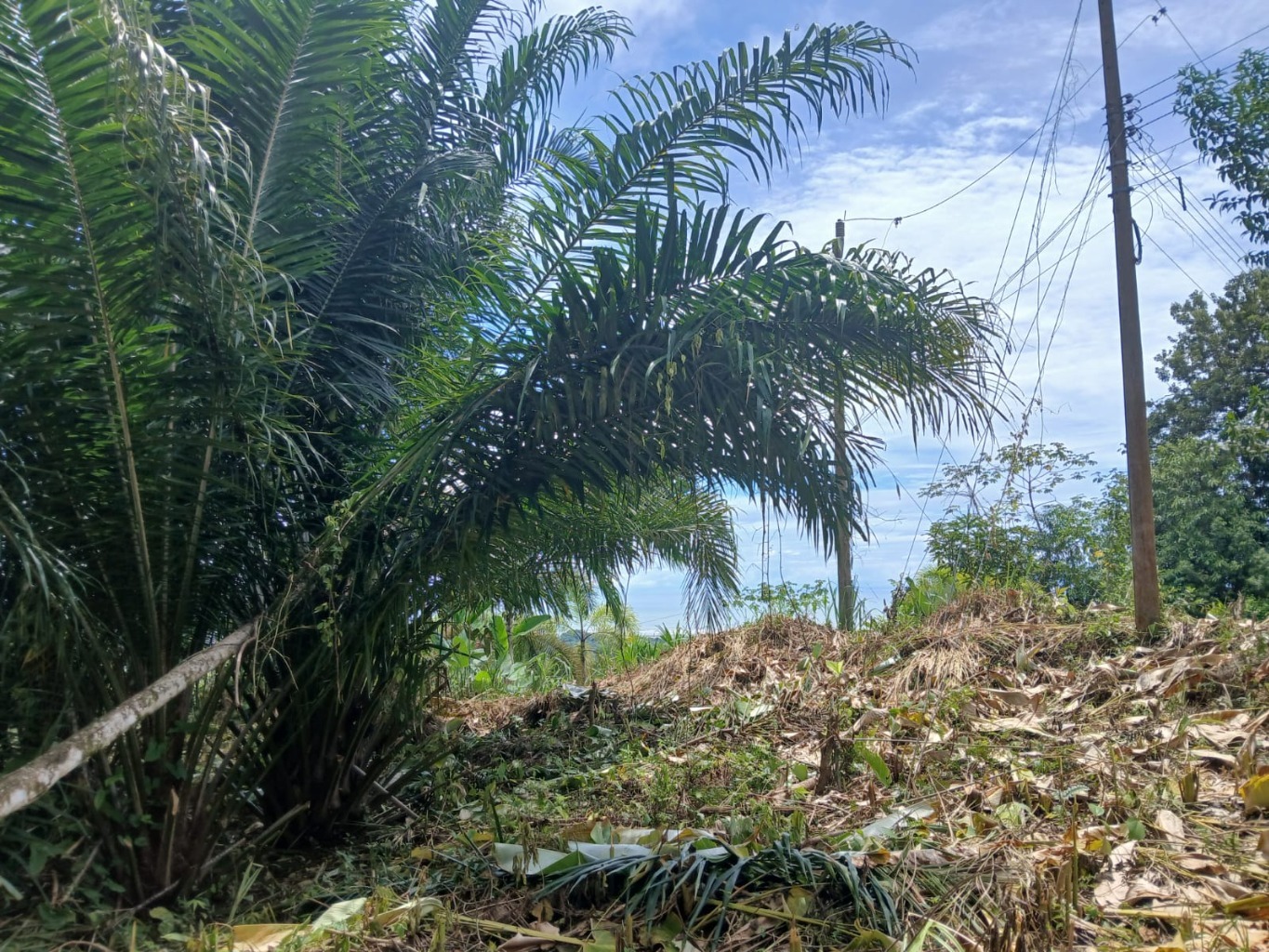 1.14-Acre Ocean View Estate Lot | Phase 5, Ojochal selected