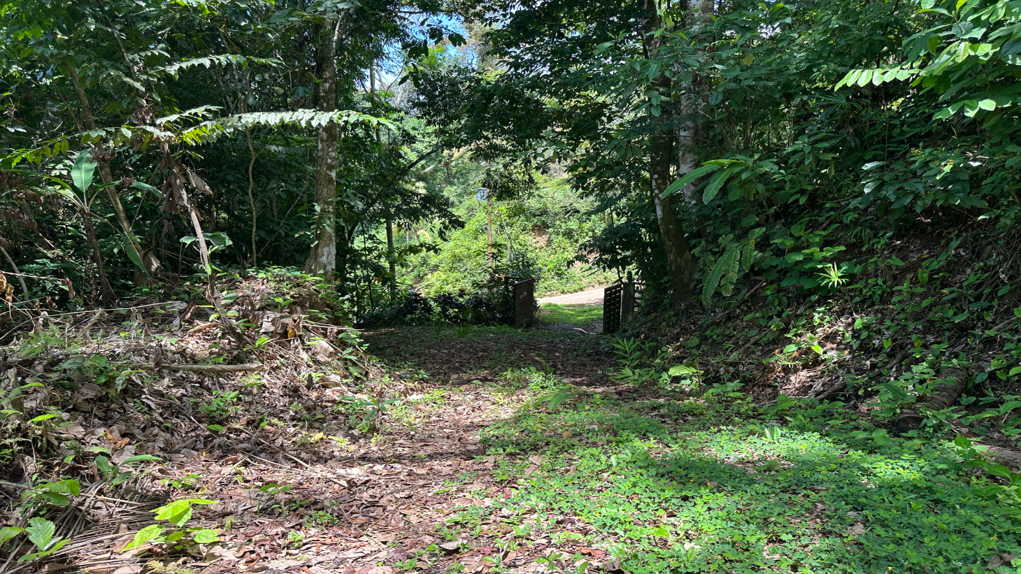 Ocean View Estate Lot with Private Waterfall – Uvita selected