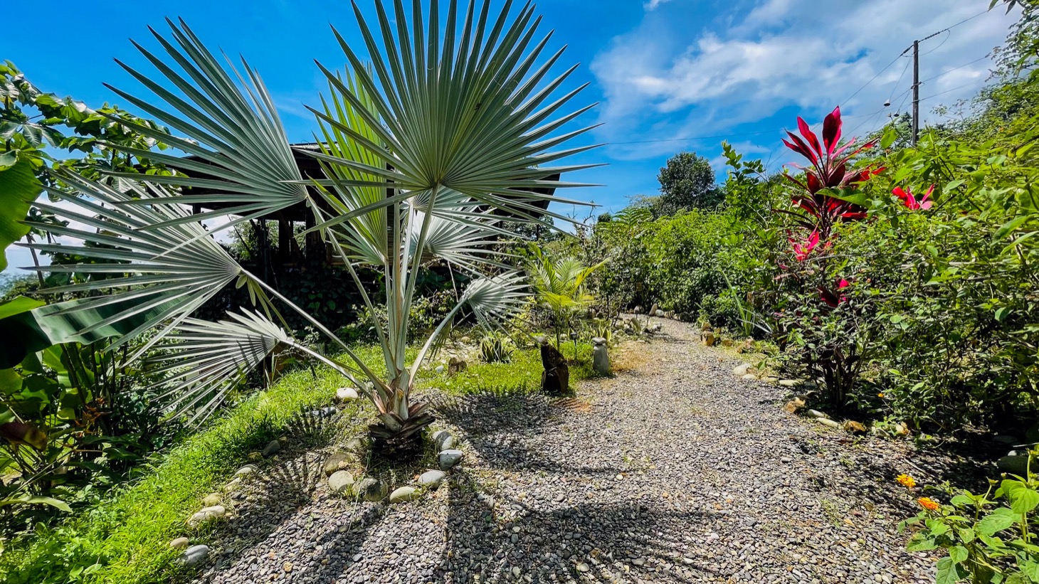 Tropical Retreat in Ojochal with Ocean Views, Private Waterfall & Expansion Potential selected