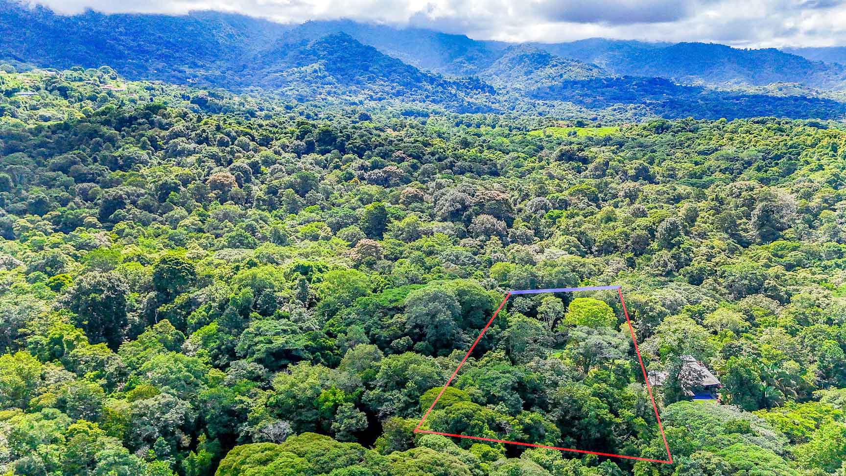 Wonderful Jungle Lot with a Crystal Mountain River Border in Ojochal selected