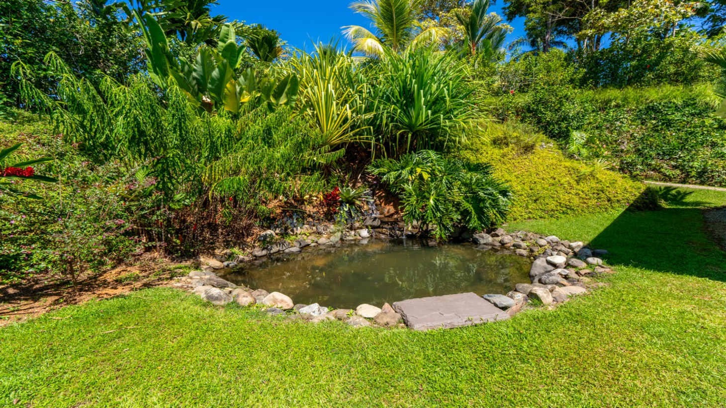 5.67 ACRES – 3 Bedroom Stunning Luxury Home Featuring Sweeping Valley & Ocean Views, Natural Wood Finishes & Sophisticated Design! selected