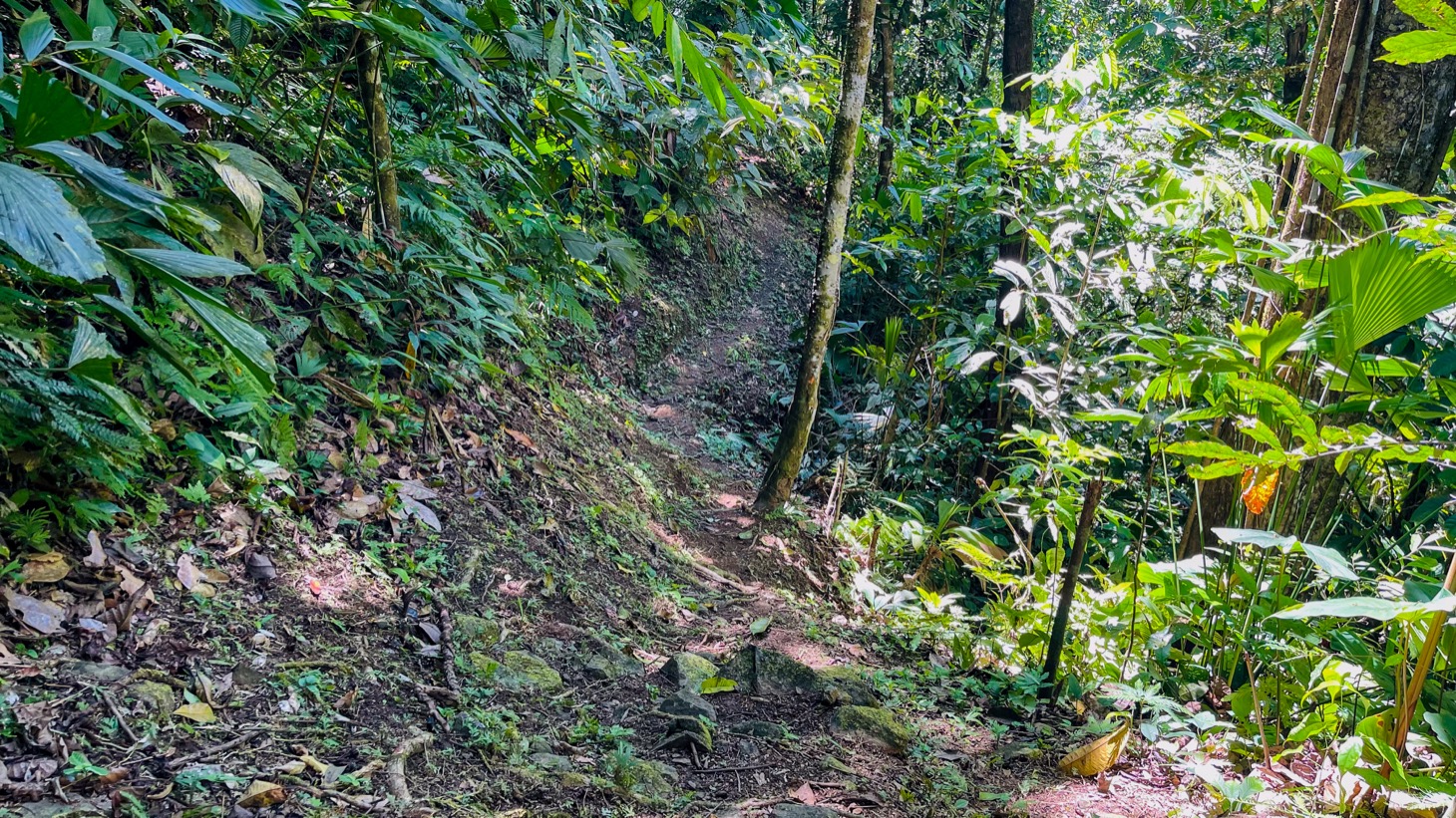 Nature Retreat Estate – Southern Pacific Zone, Costa Rica selected