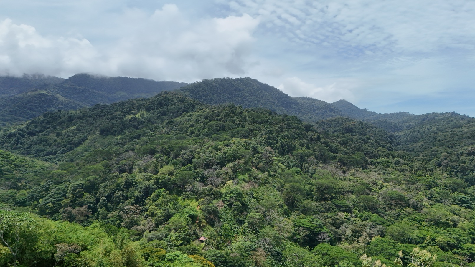 Expansive Oceanview Estate Lot in Uvita selected