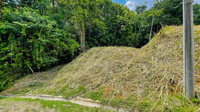 Ready-to-Build Jungle Lot in Ojochal’s Phase 10 Gated Community image 4