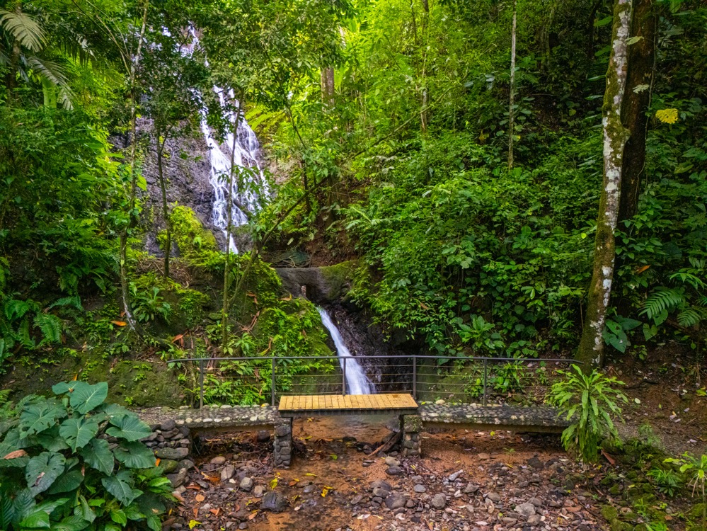 Modern Jungle Retreat in Costa Rica’s Southern Zone selected