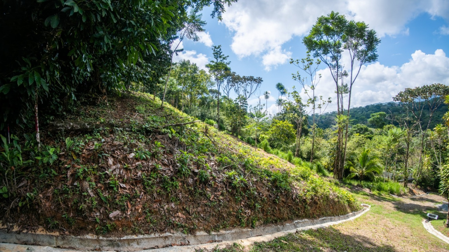 Tropical Sanctuary Above Uvita: 5-Acre Jungle Estate with incredible Mountain Views selected