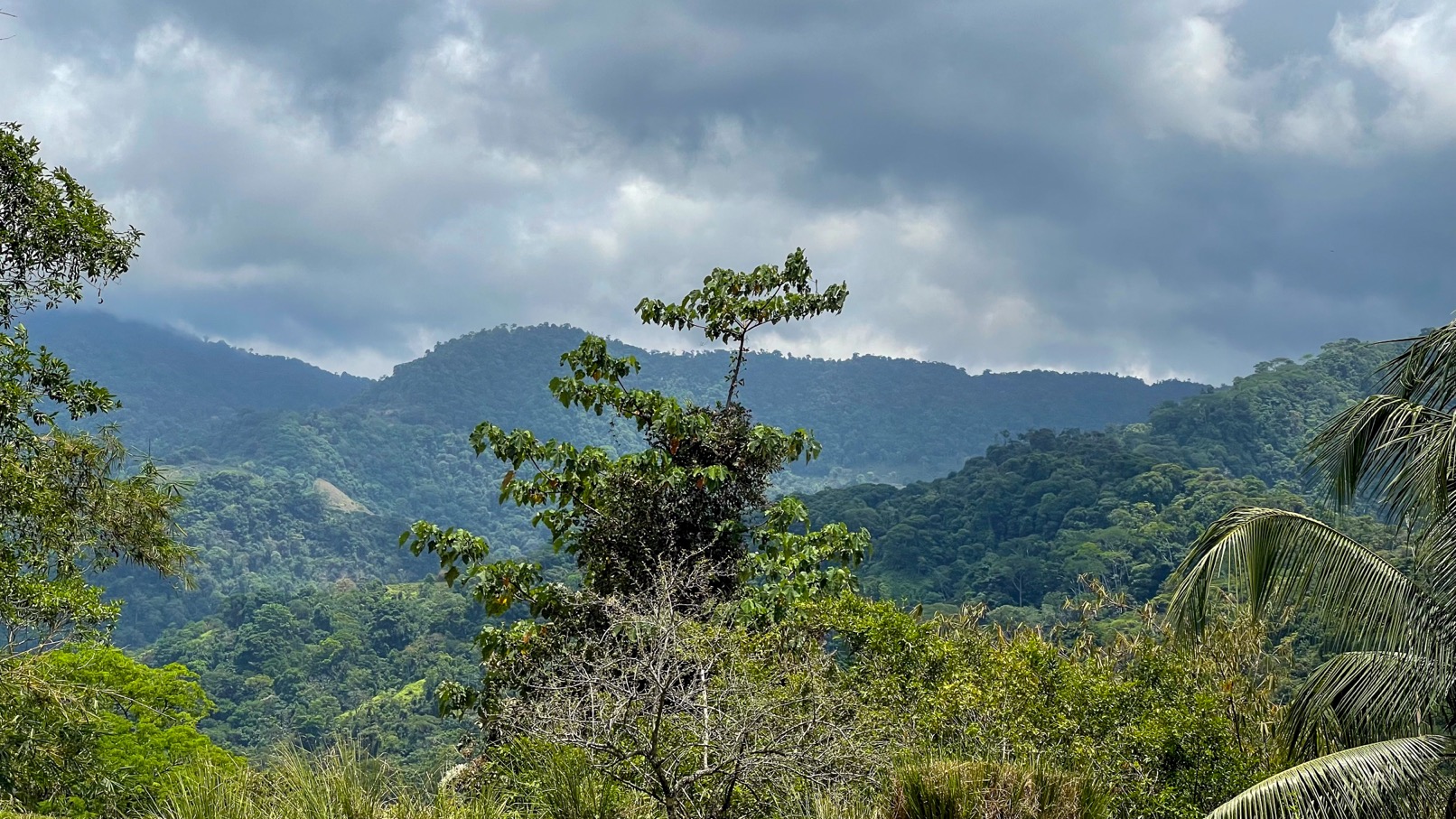 Ocean View Land for Sale in Uvita, Costa Rica | Whale Tail View | Private Gated Community | Ready to Build selected
