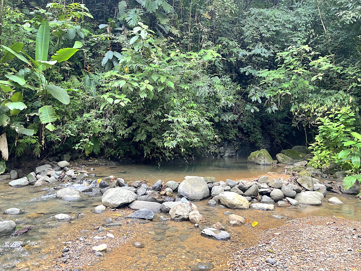 Rare 25+ Acre Opportunity in Uvita selected