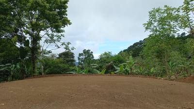 Mountain View Home Site with Seasonal Waterfall and Mature Fruit Trees image 2