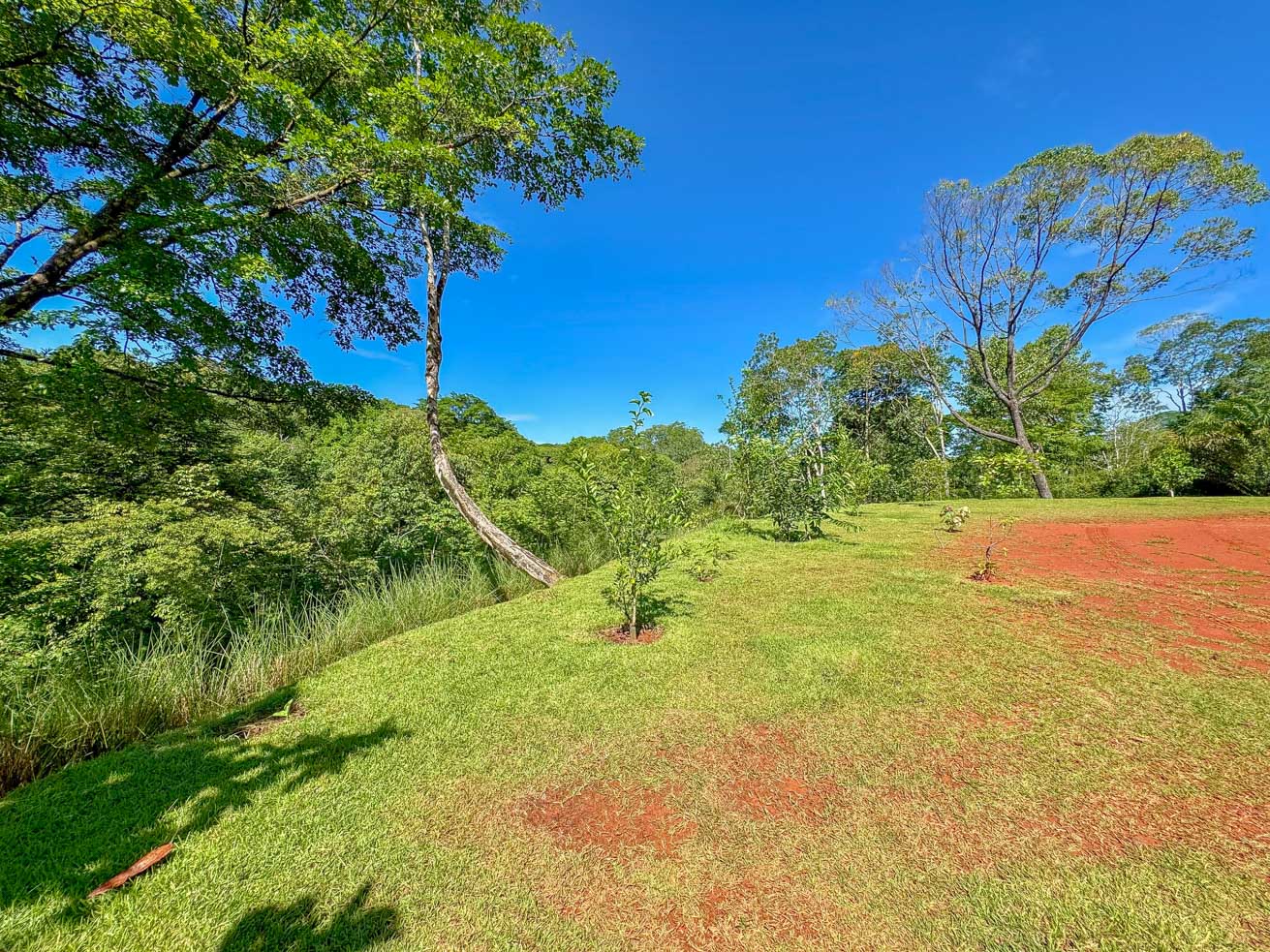 1-Bedroom Jungle River Retreat with Room to Build Your Dream Home in the Heart of Ojochal selected