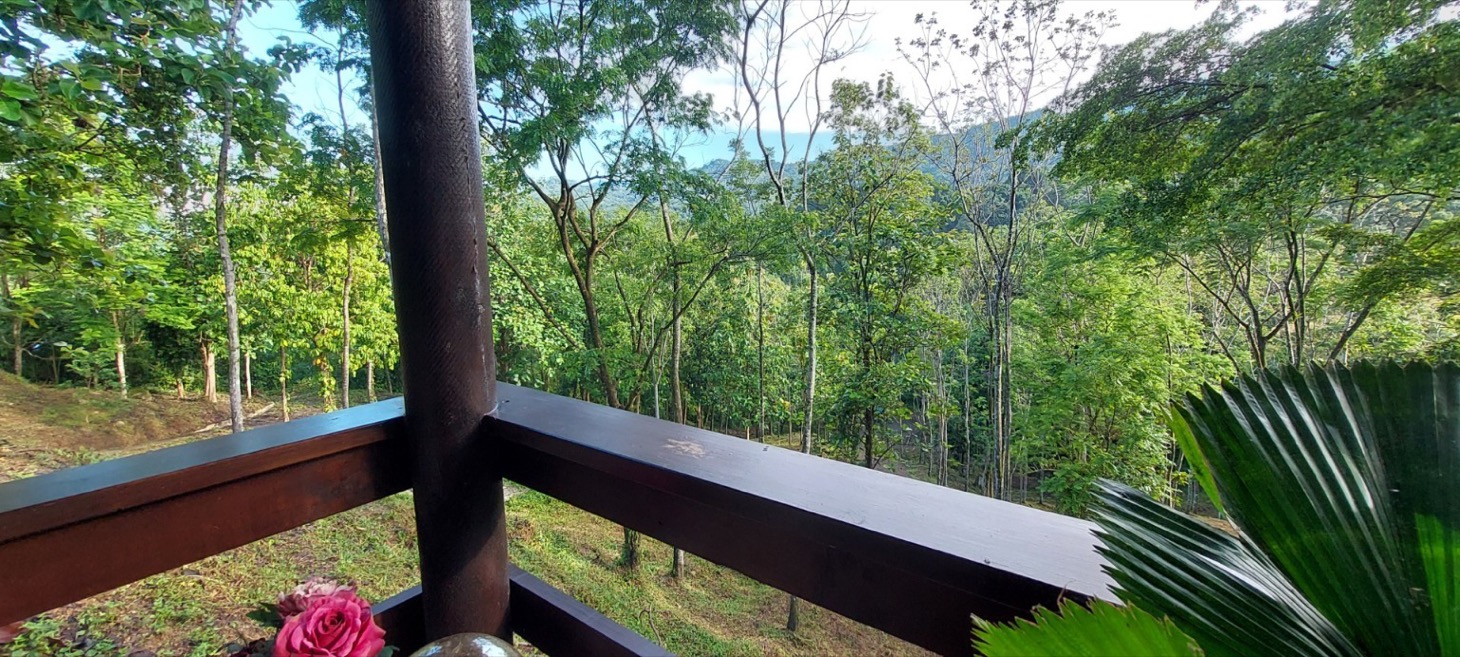 Rustic Elegance in the Heart of Nature – Tres Ríos Mountain Retreat with Expansion Potential selected