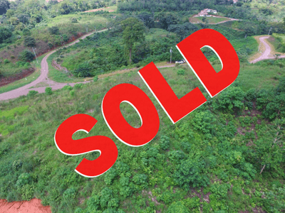 Large Building lot in Phase 11 image 1