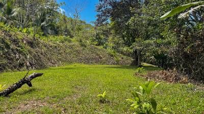 Land for Sale Near Ojochal, Costa Rica – Lot with Water & Electricity Near El Pavón Waterfall image 5