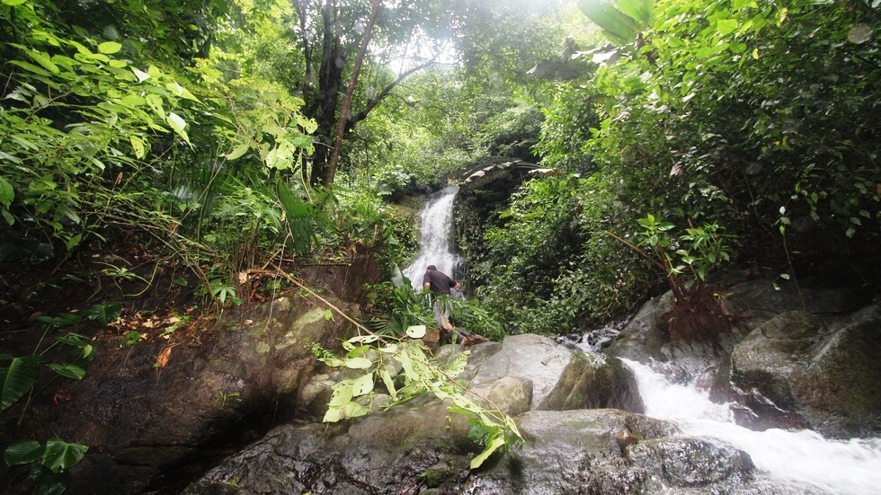 Beautiful 72 Acre Farm In Uvita With Waterfalls And Ocean Views selected