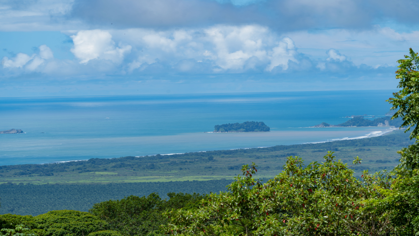 Gorgeous Ocean View 7 Acre Estate, Portalon selected