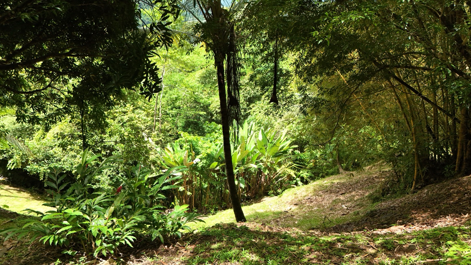 Expansive Oceanview Estate Lot in Uvita selected