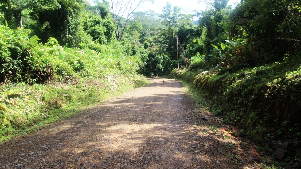 Beautiful 72 Acre Farm In Uvita With Waterfalls And Ocean Views selected