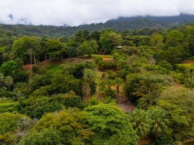 14.2 Acre Prime Commercial Property in Uvita – Highway Frontage and Unlimited Potential image 1