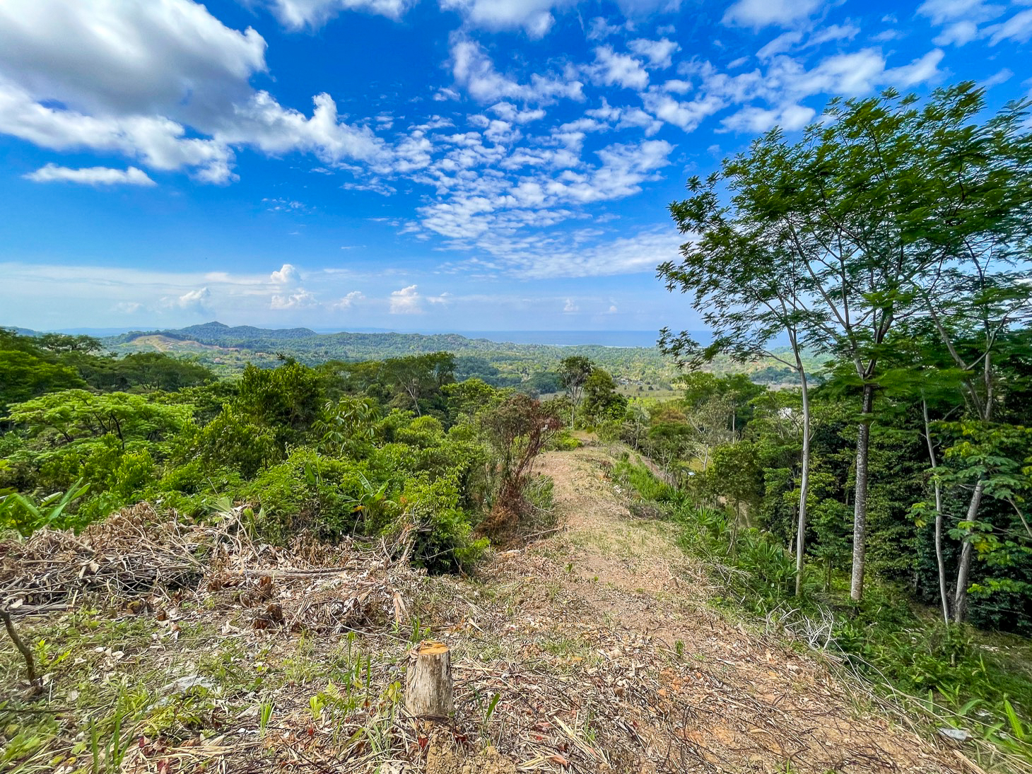 Excellent Dream Home Or Mini-Development Opportunity: 2.2-Acre Ocean View Property in Ojochal, Costa Rica selected