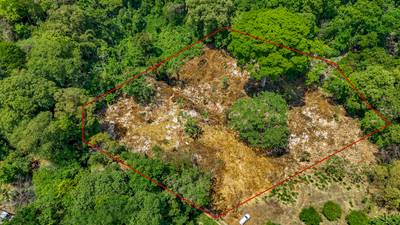2.46 Acre Jungle Land for Sale in Ojochal with River Border image 1