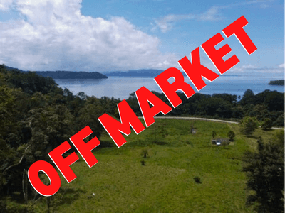  135 Acres With Ocean View In Puerto Jimenez image 1