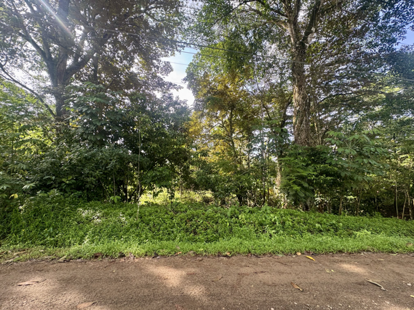 Exceptional Residential or Commercial Potential Property in Ojochal selected