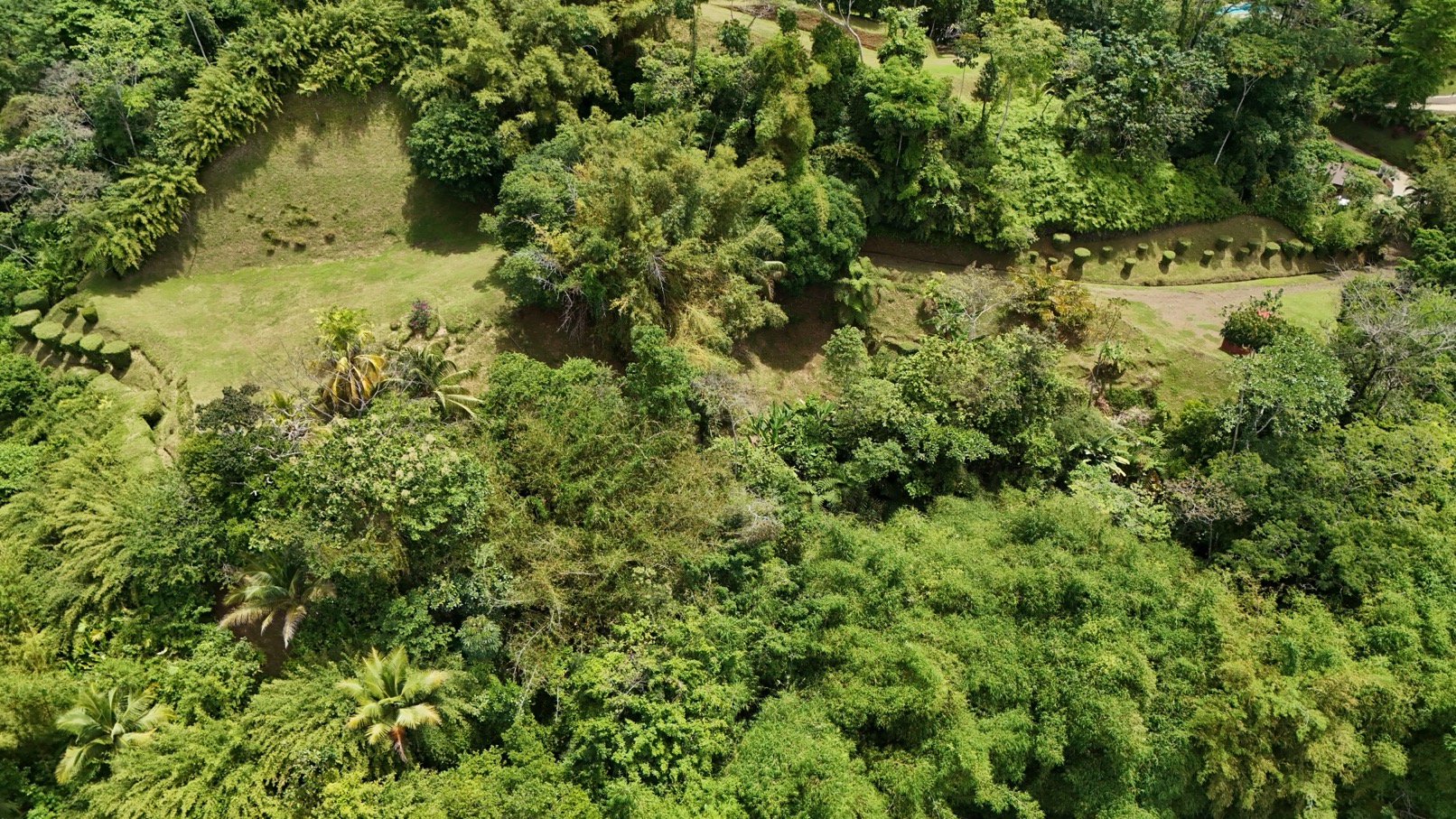 Expansive Oceanview Estate Lot in Uvita selected