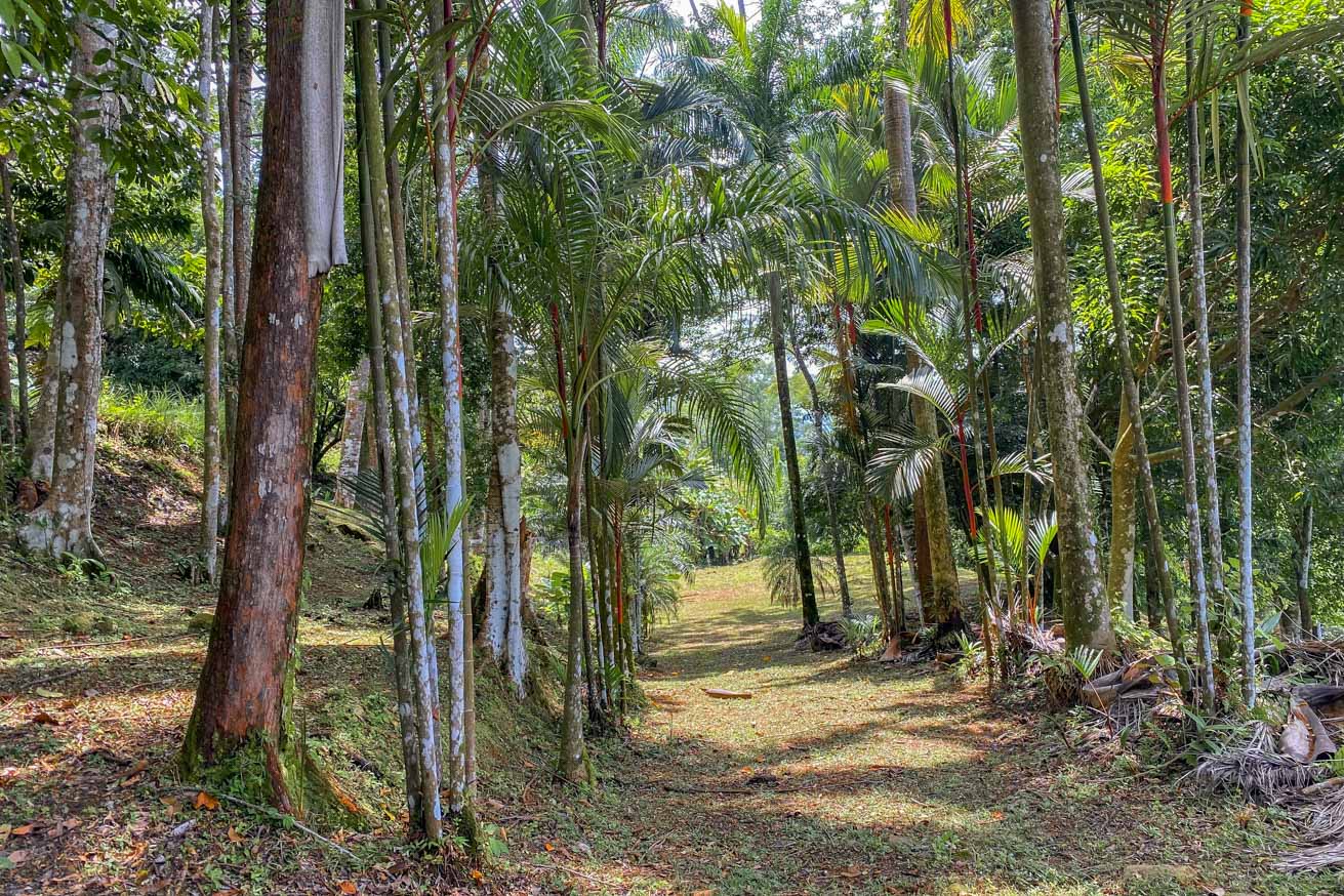 Large Uvita Lot with Whale’s Tail Ocean Views, Sunsets & Legal Water – Ready to Build selected