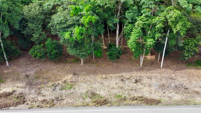Prime Lots for Sale in Tawal, Osa – Excellent Location Near Cortes and Ojochal image 3
