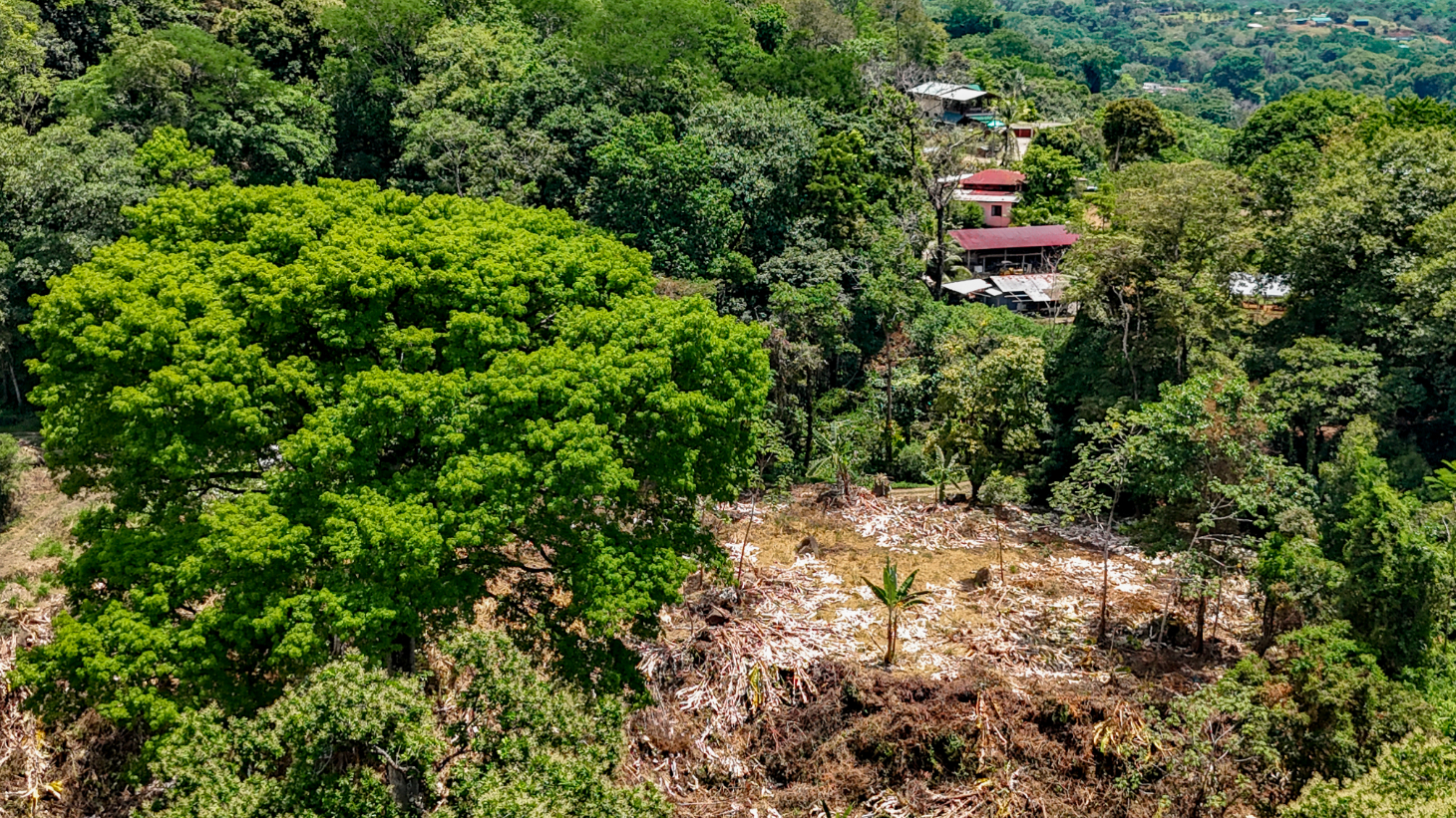 2.46 Acre Jungle Land for Sale in Ojochal with River Border selected