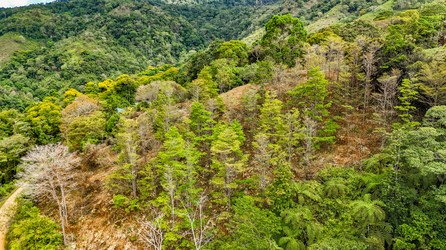 1.5 Acre Ocean & Mountain View Lot Near Uvita | Legal Water & Privacy selected