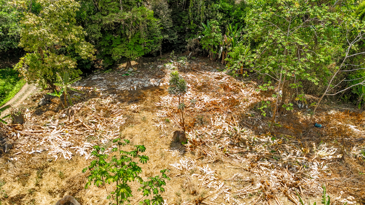 2.46 Acre Jungle Land for Sale in Ojochal with River Border selected