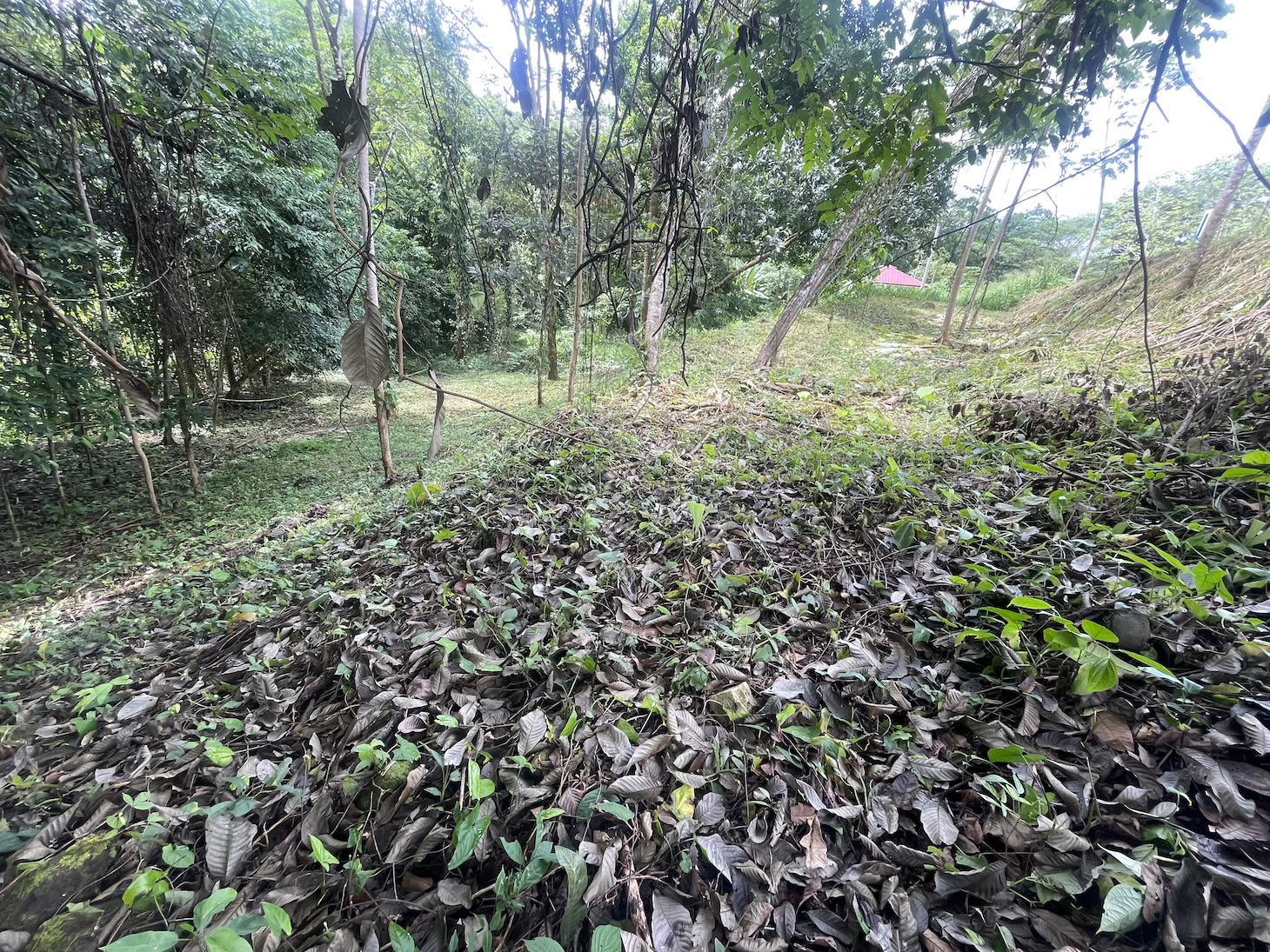 Exquisite Private Lot Bordering River with Mountain View in Ojochal, Phase 10 selected