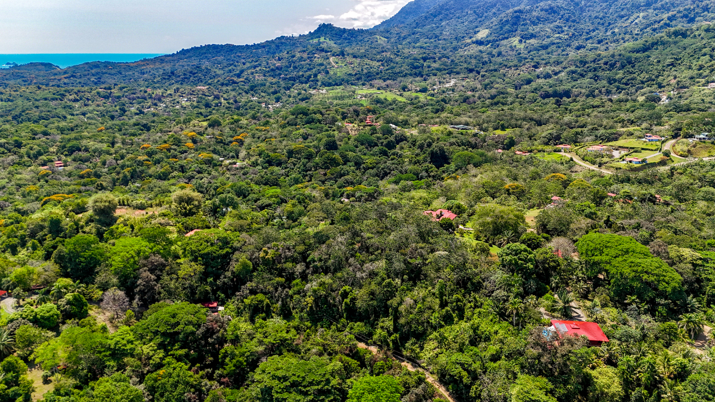 5.75 Acre Land for Sale in Ojochal | Ocean View Development Property selected