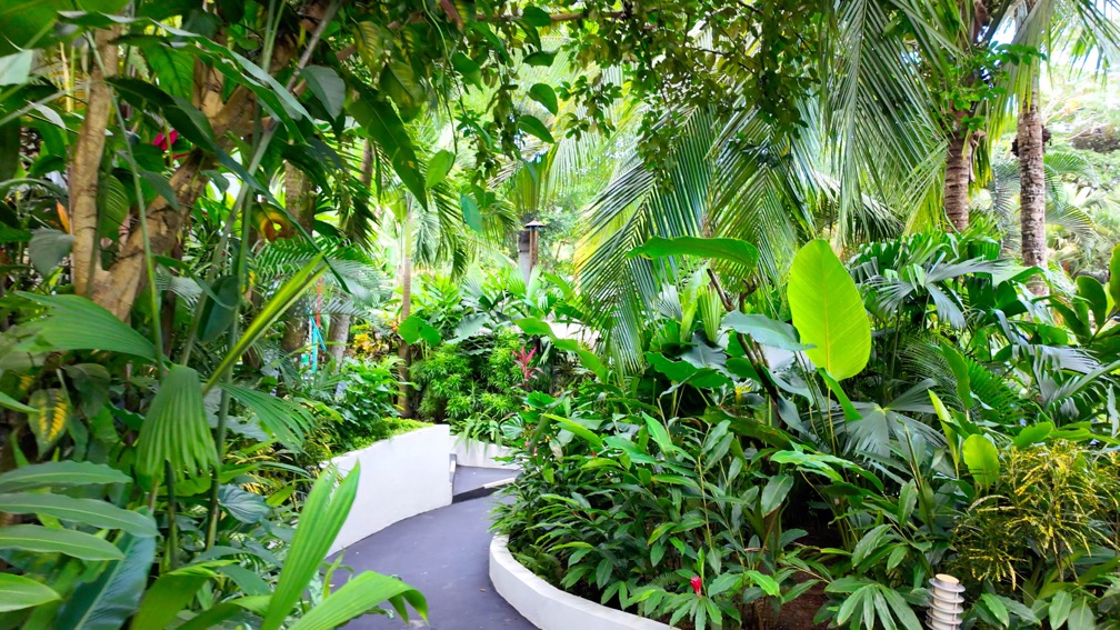 Turnkey Boutique Hotel in Prime Manuel Antonio Beach Location selected